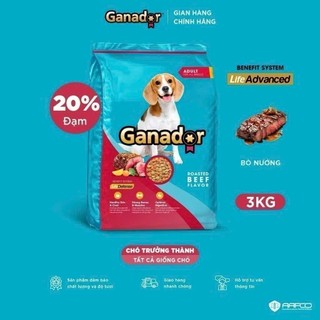 1,2Kg Thức ăn hạt Ganador cho chó đa dạng hương vị giúp thú cưng cơ xương và bộ lông khỏe mạnh Pet Kool