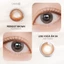 Kính áp tròng khoá ẩm 8H 1 Ngày Màu Nâu Khói Pha Lục Bảo CARASE, Lens cận PERRIDOT BROWN