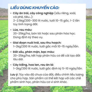 Siêu Tinh Vôi Farmix – Phèn Đâu Vôi Tới, Đất Sạch, Rễ Bung, Diệt Khuẩn Nấm Bệnh (túi 1KG)