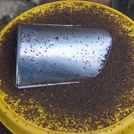 [COMBO 1 TẶNG 1] DUNG DỊCH DIỆT RUỒI KILL FLY