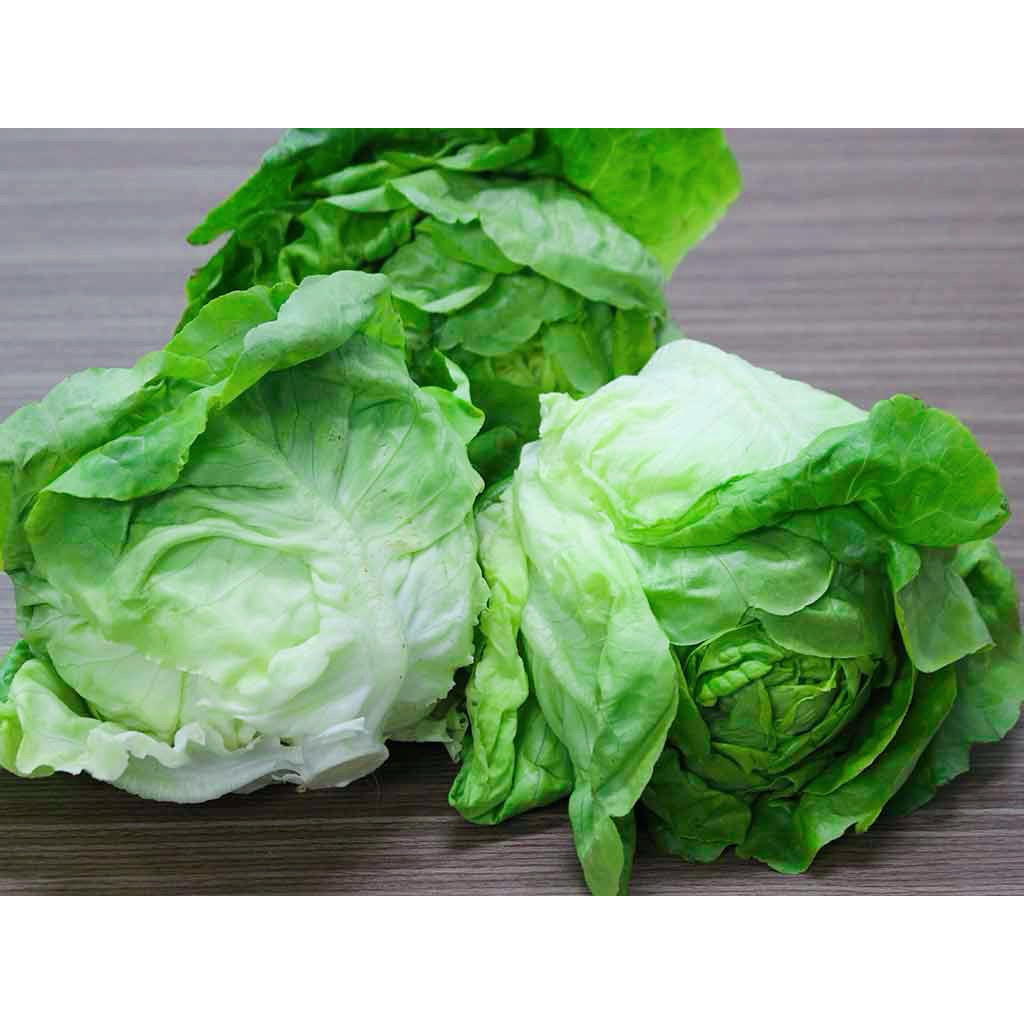 1kg Xà Lách Búp Mỡ Đà Lạt [Giao HCM] | Shopee Việt Nam