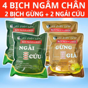 COMBO 200 Túi Lọc Ngâm Chân An Dược Tâm Thảo Dược VIỆT NAM. 100 Túi lọc Ngải Cứu + 100 Túi Gừng Già
