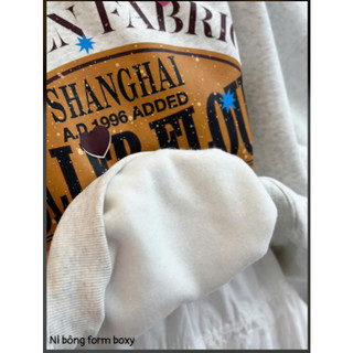 Loại 1- Áo Sweater Nỉ Lót Nhung Nữ Form Boxy – Thoải Mái - Che Khuyết Điểm-  Áo Thu Đông Dày Dặn, Y Hình Freesize <70kg