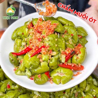 Cây Cà Na Thái THIỆN FARM 80cm quả chua thanh, dùng ăn tươi, ngâm đường, lắc muối ớt, cây trồng chậu