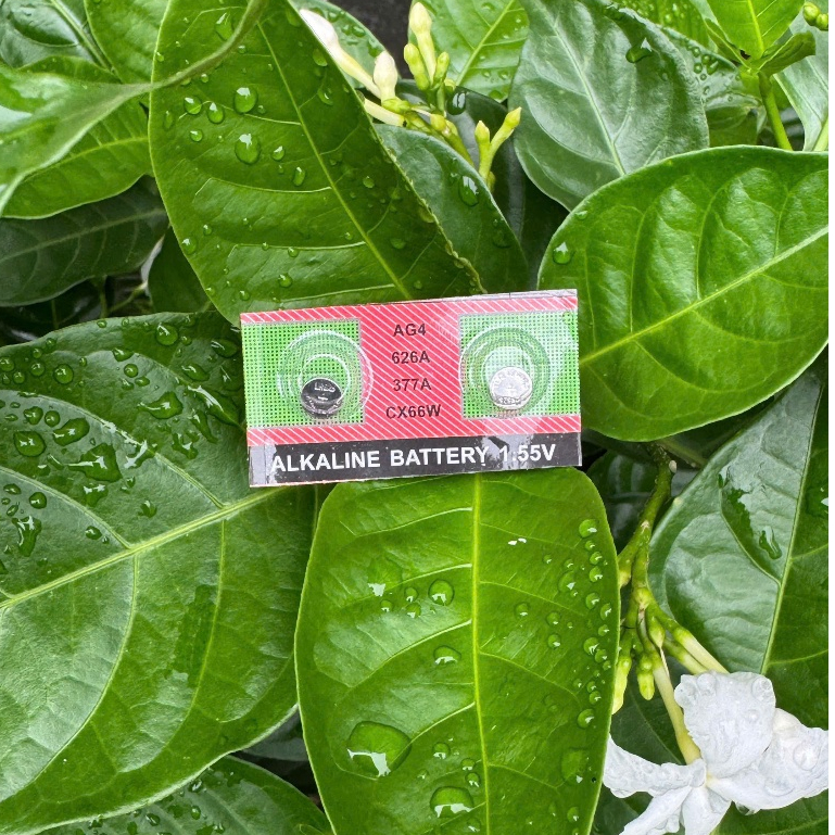 (Quà Tặng Phụ Kiện) Hộp Đồng Hồ Kèm Thẻ Bảo Hành Pin Thạch Anh Cắt Mắt Đồng Hồ