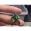 Bộ 4 Mô Hình Ninja Rùa Tỉ Lệ 1/64 - Phụ Kiện Trang Trí Terrarium, Tiểu Cảnh Cao Cấp