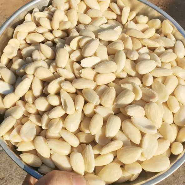 500Grm Nhân Hạnh Nhân Trắng Xuất Xứ Úc Đã Sấy Chín Bao Mới Không Hôi Dầu - Nấu Sữa Làm Bánh Nấu Cháo