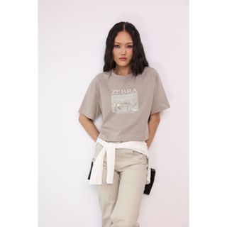 Áo Thun Ngắn Tay JP FASHION Cổ Tròn ZEBRA, Form Boxy Dày Dặn Co Dãn Tốt 10212153