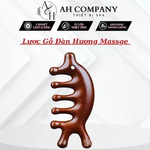 Lược Gỗ Hương Massage Da Đầu, Nhất Huyệt Đạo Thư Giãn Sử Dụng Tiện Lợi Cho Cá Nhân, Spa Dưỡng Sinh