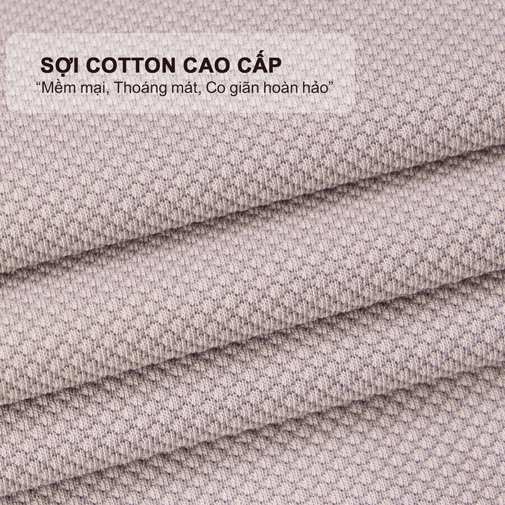 Áo polo nam MASCULINE APL605 cao cấp cotton rayon spandex cổ đứng form Regular Fit