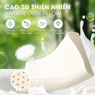 [ĐA CÔNG NĂNG] Gối Cao Su Thiên Nhiên Lượn Sóng NIN House | 50x30x7/9cm | Chăm Sóc Cổ Vai Gáy, Làm Mát, Công Thái Học