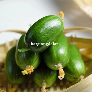 Hạt Giống Dưa Hấu, Dưa Lê, Dưa Lưới, Dưa Leo Phương Nam - Trồng Quanh Năm