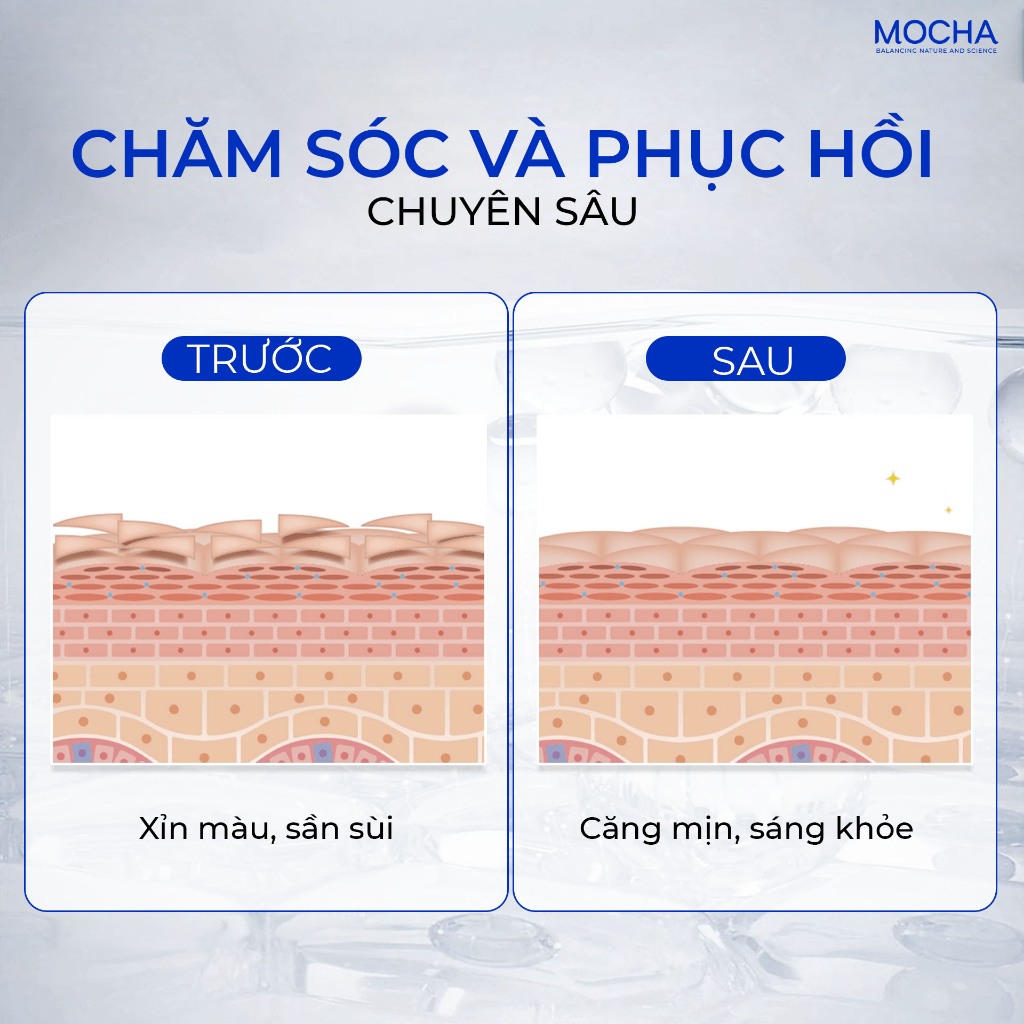 Kem Bôi Tiêu Chuẩn - Kem Dưỡng Trắng Phục Hồi Cấp Ẩmocha Biovector 6 Active