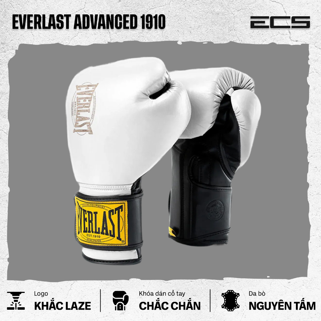 Găng tay boxing Everlast 1910 Advanced, Đệm đa lớp êm, Khóa cổ tay chắc, Lòng trong thoáng khí
