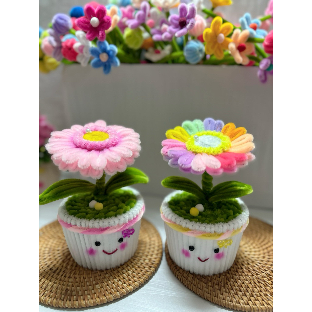 BST) chậu hoa đồng tiền bằng kẽm nhung . Trang trí nhà cửa phòng làm việc  bàn học. Tặng thầy cô 8/3 20/10 20/11 | Shopee Việt Nam