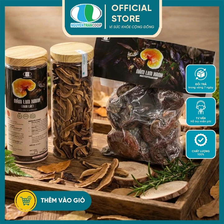Nấm Lim Xanh RỪNG Quảng Nam { Nguyen Tran Coop } - Thải độc Gan, điều hòa huyết áp, tăng sức đề kháng