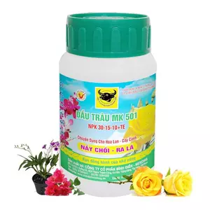 MK 501 - NẢY CHỒI, RA LÁ