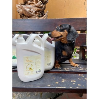 [GIẢM 50%] Sữa tắm hữu cơ Petitia 30ml cho chó, hương Vanilla ngọt ngào, thư thái, dưỡng lông, lưu hương