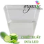 CHIẾT XUẤT DƯA LEO (VIỆT NAM)