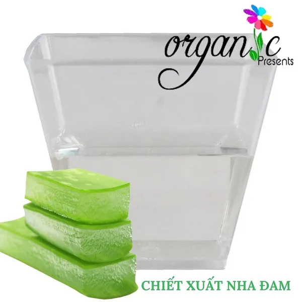 CHIẾT XUẤT NHA ĐAM -  ALOE VERA EXTRACT (VIỆT NAM)