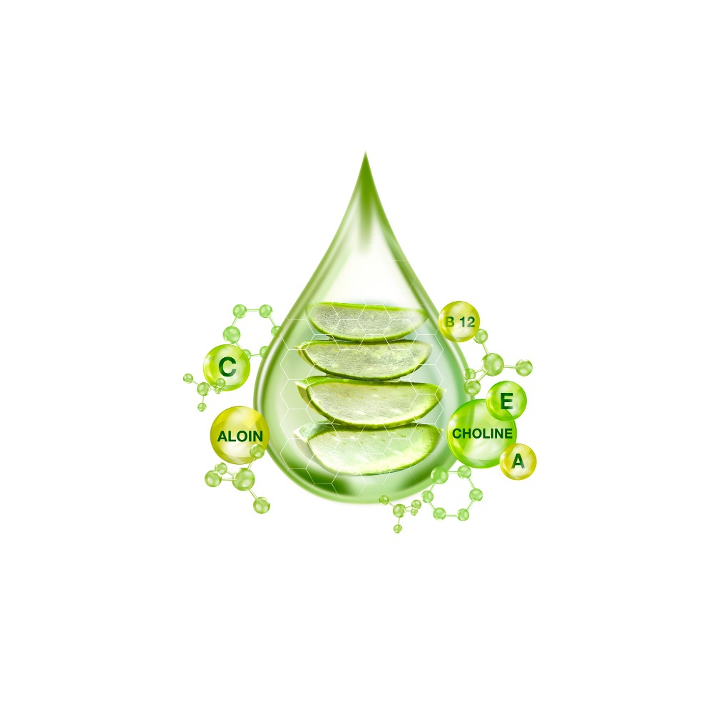 CHIẾT XUẤT NHA ĐAM -  ALOE VERA EXTRACT (VIỆT NAM)