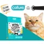 CÁT VỆ SINH PURCATS ĐẬU NÀNH / CÁT GỖ 6L / MIX ĐẬU NÀNH + CÁT GỖ