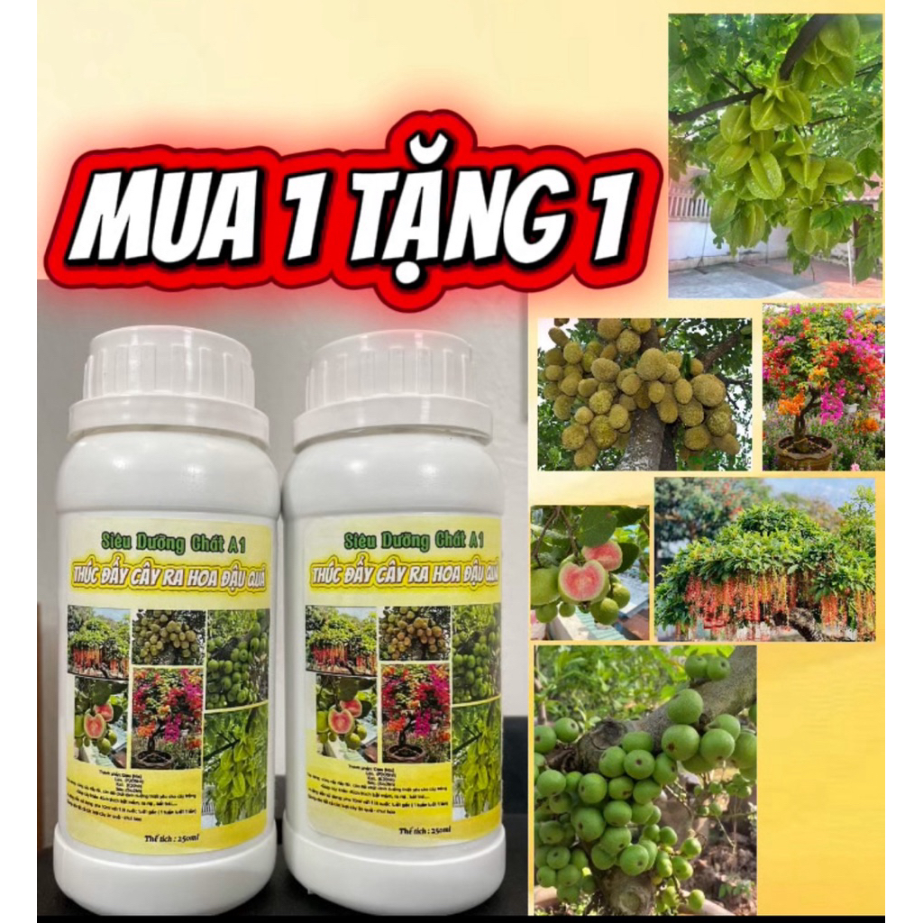 Siêu dinh dưỡng A1 - Kích Ra hoa đậu quả tốp 1