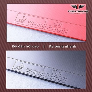 Vợt Bóng Bàn STIGA 4 sao - Vợt Bóng Bàn Tiêu Chuẩn Trong Thi Đấu