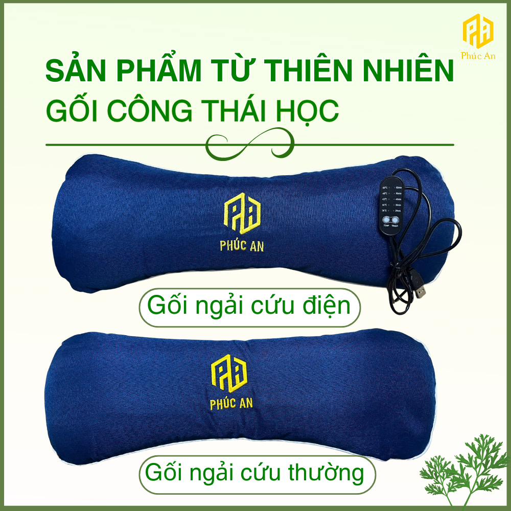 [CHÍNH HÃNG] Combo 3 Thảm điện + gối điện ngải cứu Phúc An, giúp ngủ ngon giấc, quà tặng ý nghĩa
