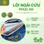 Combo 3 Thảm điện + gối điện ngải cứu Phúc An, giúp ngủ ngon giấc, quà tặng ý nghĩa