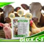 GLU.K.C-S (Á Châu) Bổ Sung Vitamin, Khoáng Chất, Acid Amin Cho Gia Súc Gia Cầm (1Kg)