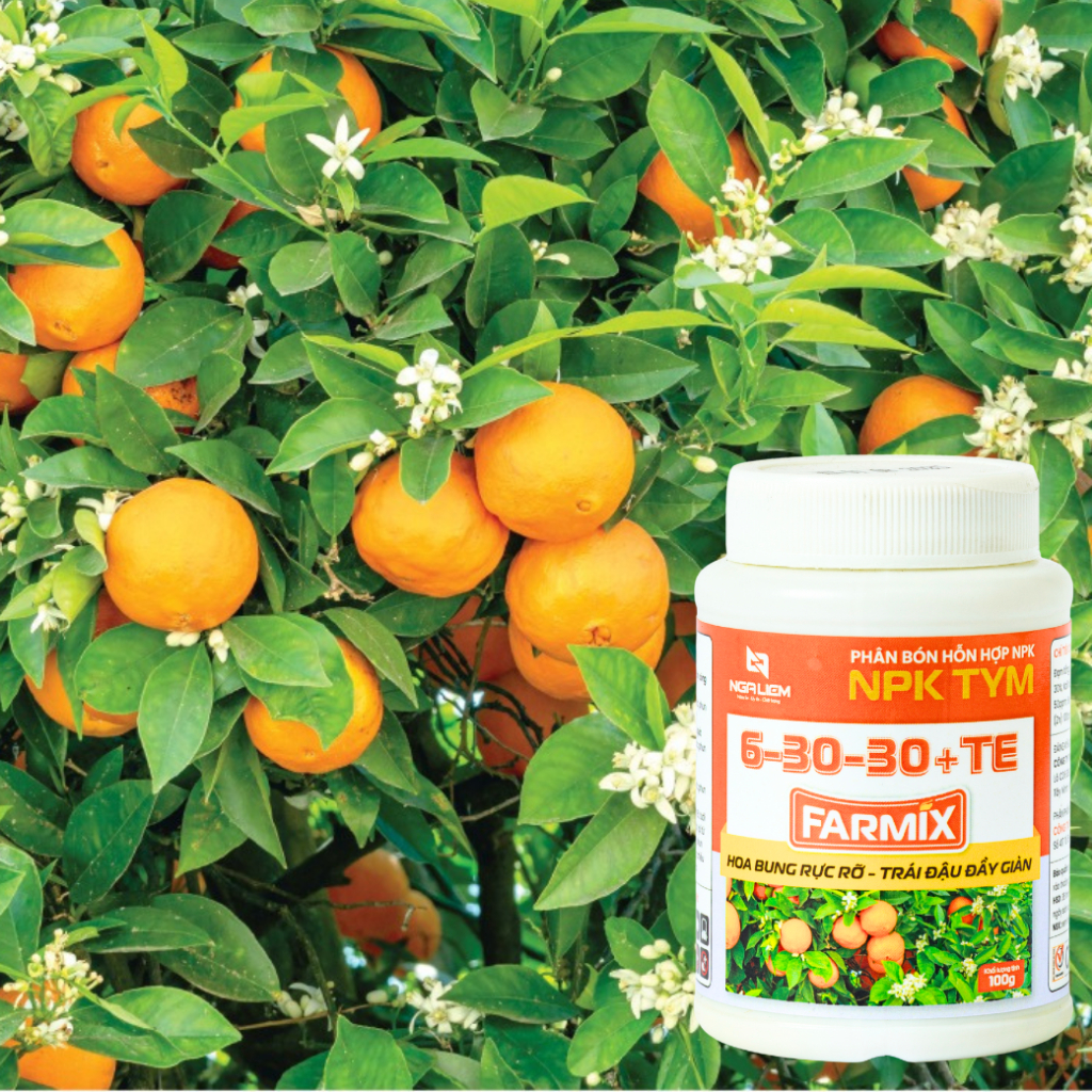 Phân Bón Lá NPK Farmix 6-30-30+TE (100gram) – Hoa Bung Rực Rỡ, Trái Đậu Đầy Giàn