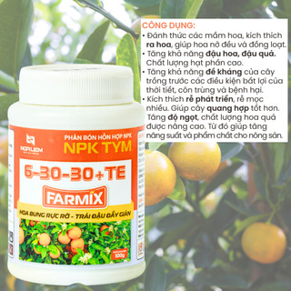 Phân Bón Lá NPK Farmix 6-30-30+TE (100g) – Hỗ Trợ Ra Hoa, Nuôi Trái Hiệu Quả