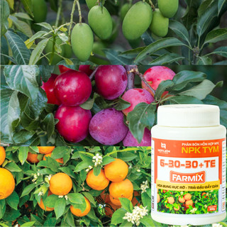 Phân Bón Lá NPK Farmix 6-30-30+TE (100g) – Hỗ Trợ Ra Hoa, Nuôi Trái Hiệu Quả