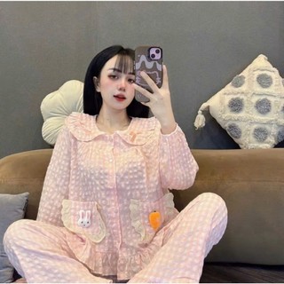 Bộ đũi pizama thỏ cà rốt tay dài, quần dài mềm mát A13 mẫu mới