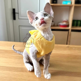 Áo VẢI mini size thú nổi Petstyle cho chó mèo nhỏ