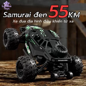 Xe đồ chơi, xe tải điều khiển từ xa 4WD, xe tải địa hình điện tỷ lệ 1:16, tần số 2.4Ghz, tốc độ trên 55 MPH.