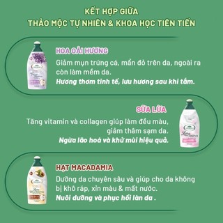 Sữa Tắm L’Angelica 500ml Nhập Ý – Thảo Dược Dưỡng Ẩm, Trắng Da, Thơm Lâu – Nhiều Mùi Thiên Nhiên