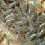 200gr Mứt mãng cầu xiêm