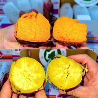 Combo Khoai Quý Trọng 6kg | Khoai Mật Tà Nung (3kg) + Khoai Nhật (3kg)