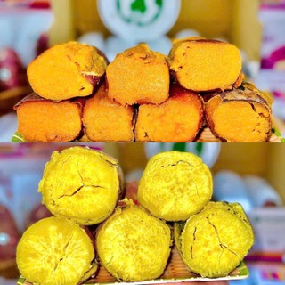Combo Khoai Quý Trọng 6kg | Khoai Mật Tà Nung (3kg) + Khoai Nhật (3kg)