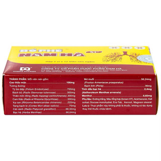 Viên Ngậm Bổ Phế Nam Hà Giúp Giảm Ho tiêu đờm, khàn tiếng, ngứa rát cổ họng, hộp 24 viên