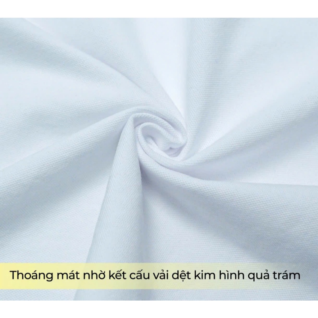 áo polo nam cao cấp sang trọng nam tính