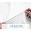 Áo polo nam caoo cấp nam tính sang trọng