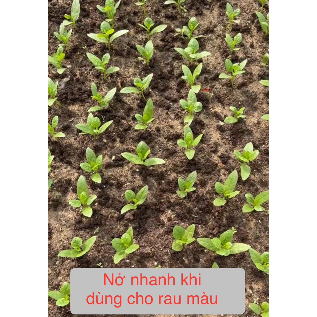 Phân hữu cơ Seiko Organic- có chứng nhận Thú Y Hà Lan không mang bệnh về vườn- Đất khỏe, rễ khỏe
