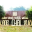 Nước Mắm Chay 3 Trong 1 Thương Hiệu Làng Chài Xưa (01 Chai) 525ml Trái Thơm Nấm Ngọt Đậu Nành 300 Năm Truyền Thống