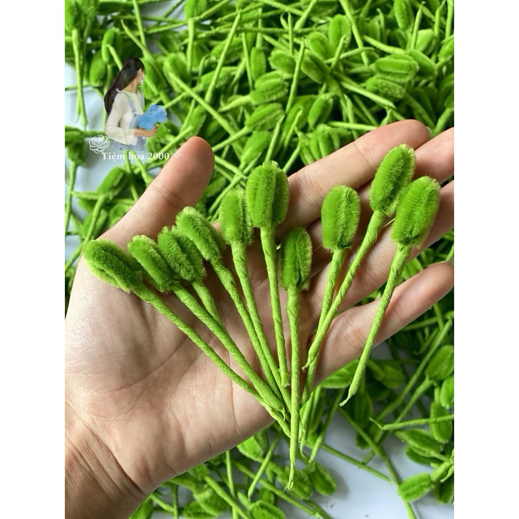 Đầu mai kẽm nhung làm sẵn nụ mai làm sẵn