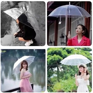 Ô Đi Mưa Trong Suốt Cao Cấp Dẻo Dai Hàn Quốc
