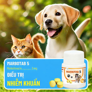 Thuốc viên hỗ trợ giảm đau kháng viêm nhiễm khuẩn cho chó mèo Melotab / Tolfetab / Marbotab VBPharma