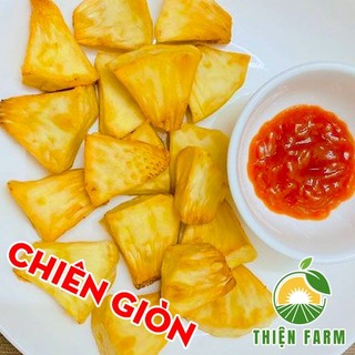 Cây Sa Kê THIỆN FARM 50cm quả hầm canh, chiên giòn, lá làm trà giải nhiệt, cây có thể trồng chậu